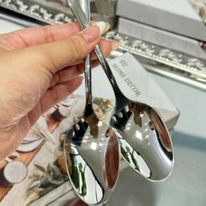 Set 6 Thìa EU Home Decor 21cm Đồ Dùng Bàn Ăn Sang Trọng - Ảnh 2