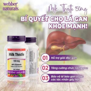 Viên uống bổ gan Webber Naturals Milk Thistle 150mg 240 viên chiết xuất kế sữa hỗ trợ chức năng gan - Ảnh 2